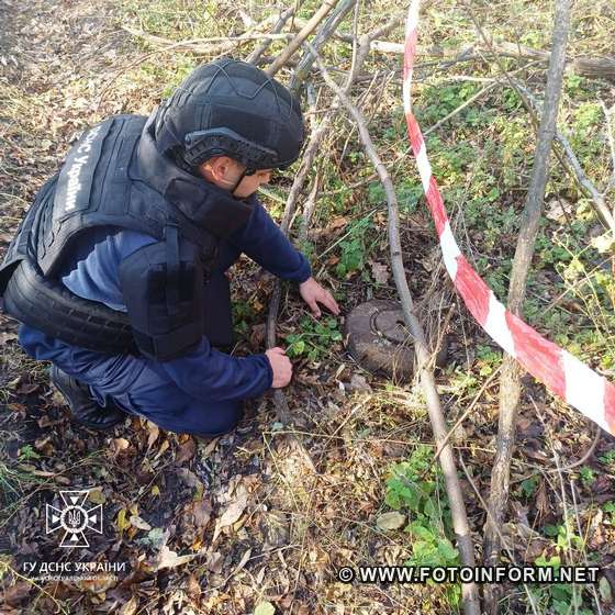 На Кіровоградщині в лісовому масиві знайшли протитанкову міну 
